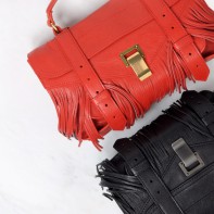 Voilà Pourquoi Vous Avez Besoin d’un Nouveau Sac en 2015